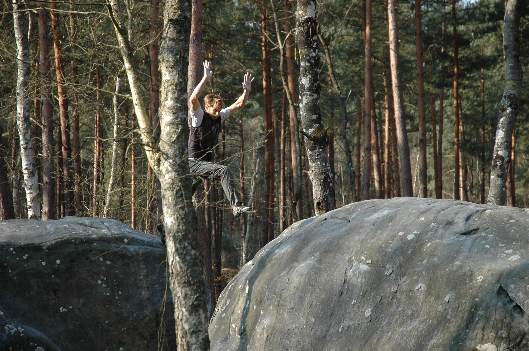 day 5 isatis (28).JPG