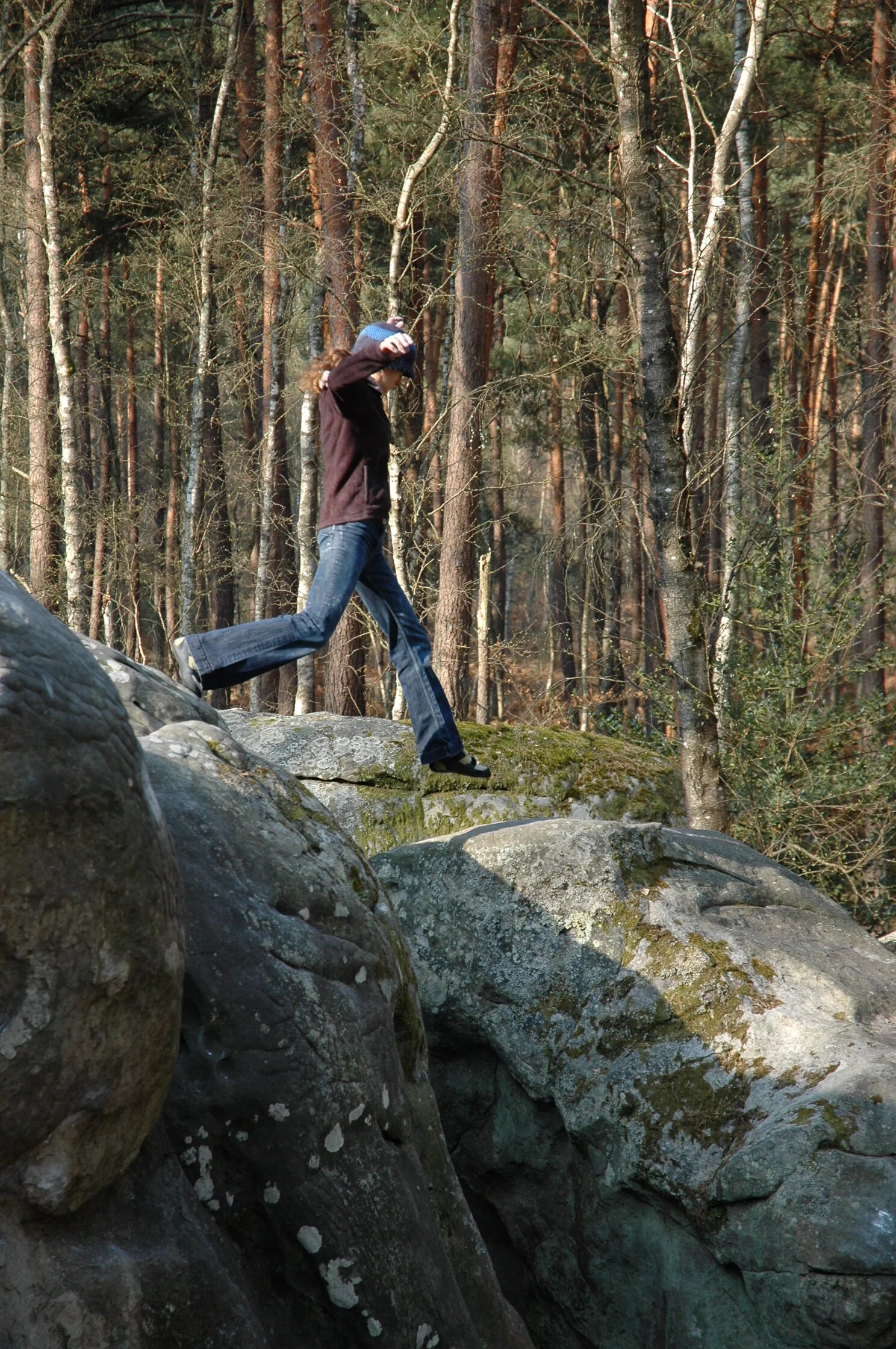 day 5 isatis (15).JPG