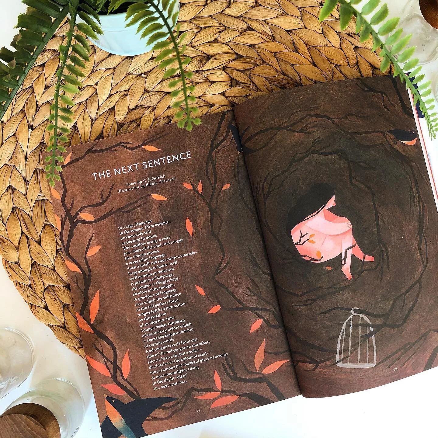 Popshot magazine illustration spread