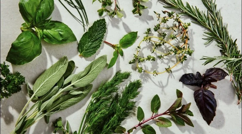 fresh herbs.jpg