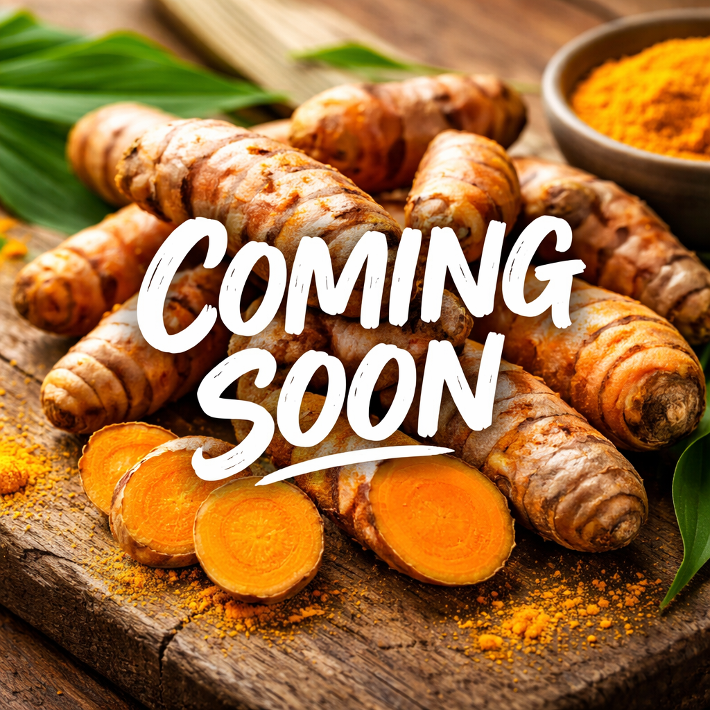 epis Zette with Turmeric