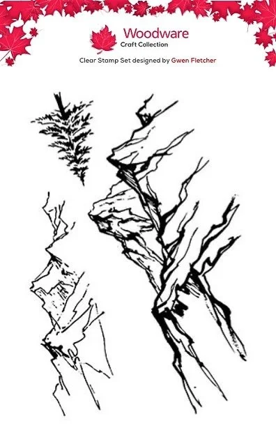 Image 12.jpeg