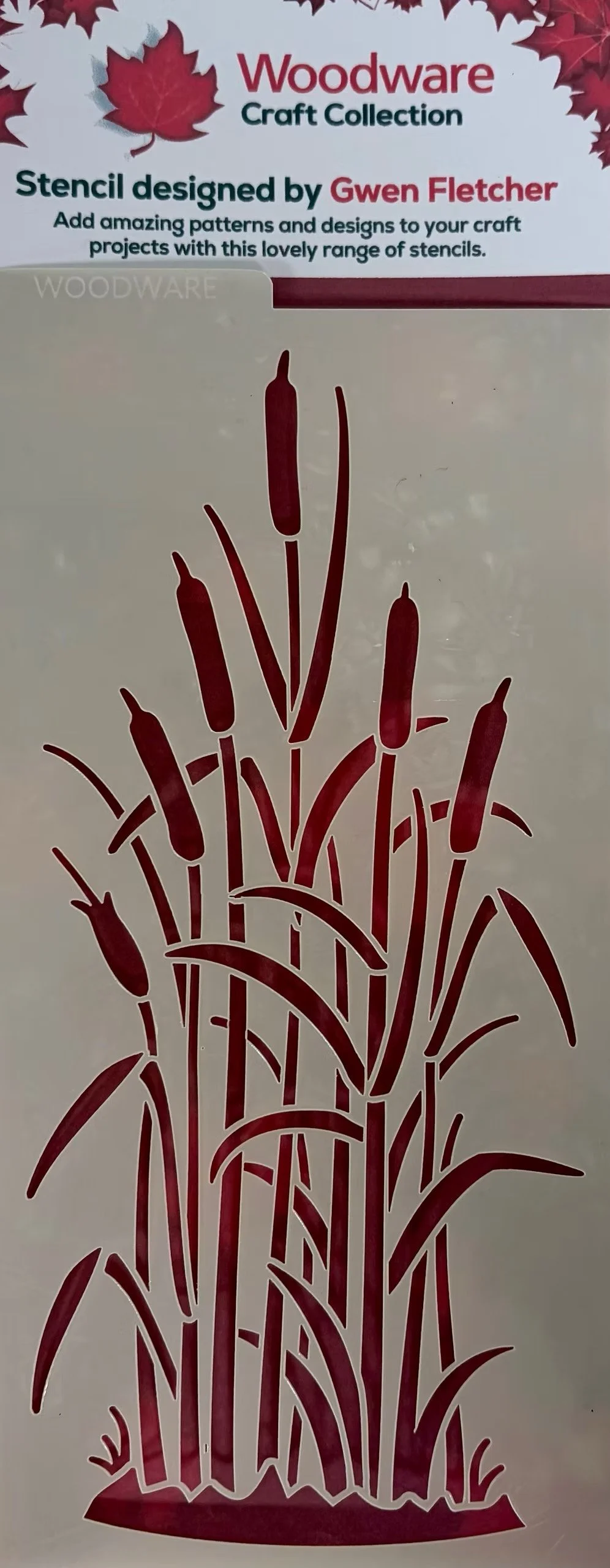 Image 40.jpeg