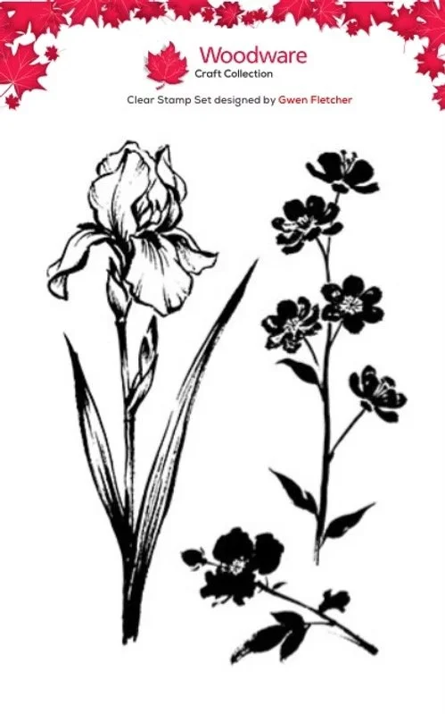 Image 2.jpeg