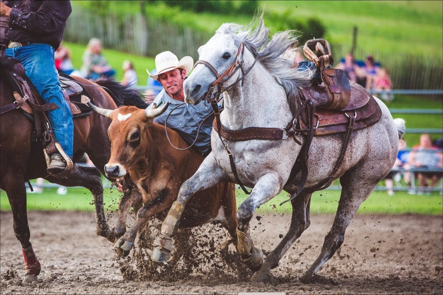 Ellicottville Championship Rodeo 2024