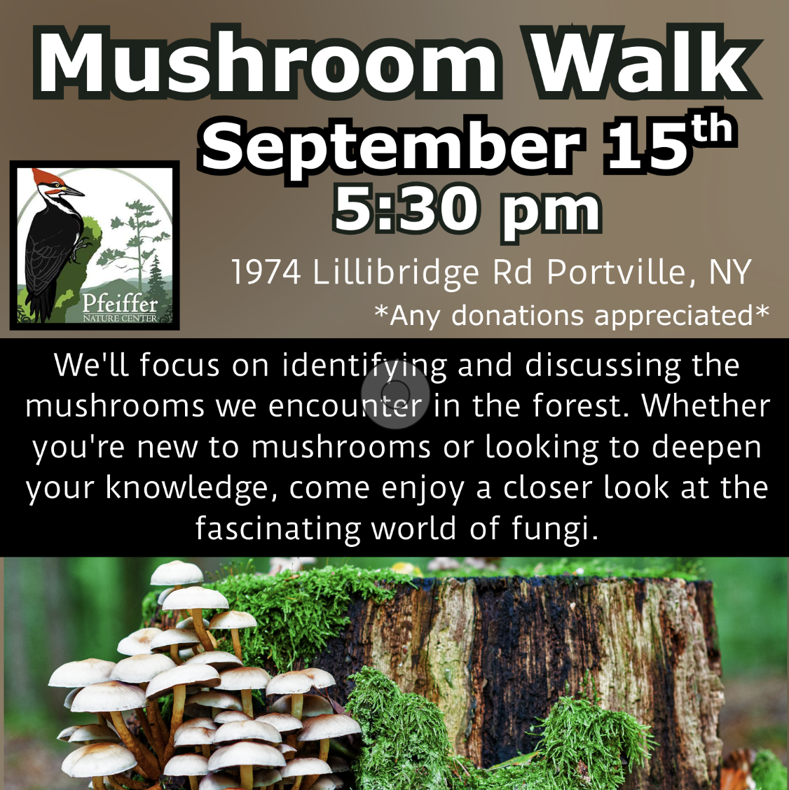 Mushroom Walk