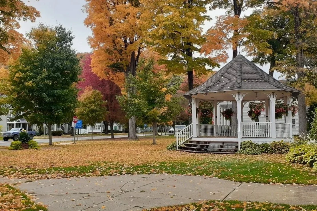 Ellicottville Town Board Adopts Dog Licensing Law, Reviews 2026 Budget