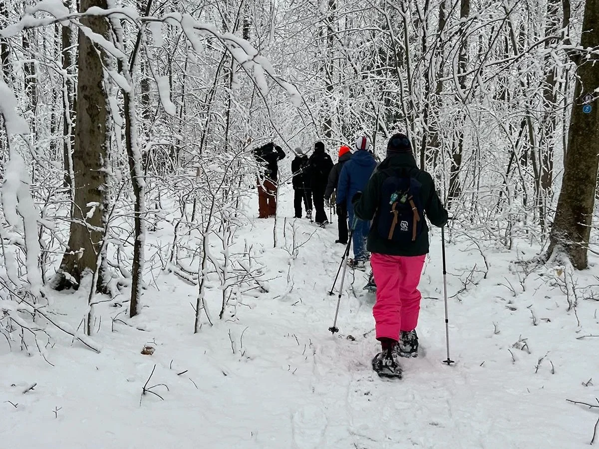 Guided Snowshoe Hikes Return to Allegany State Park