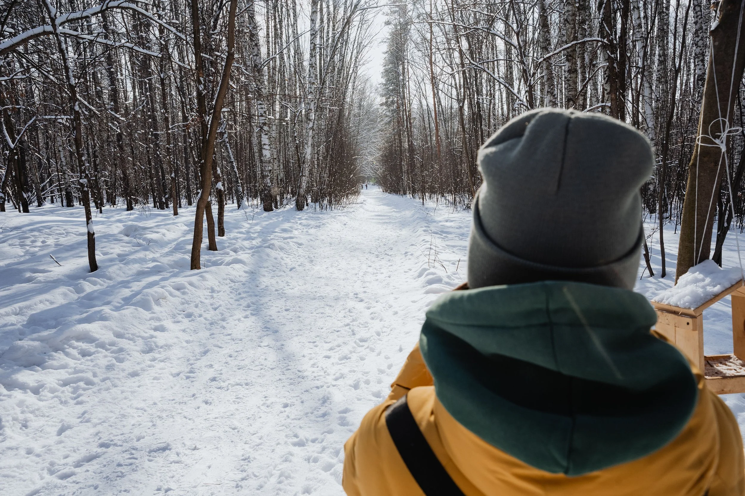 Winter Walks Help Build Your Immune System