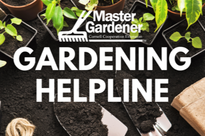 Cattaraugus County Master Gardener Help Desk Reopens for 2026 Gardening Season Support