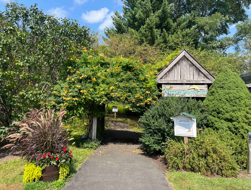 Tai Chi &amp; Qi Gong Classes Coming to Nannen Arboretum in Ellicottville