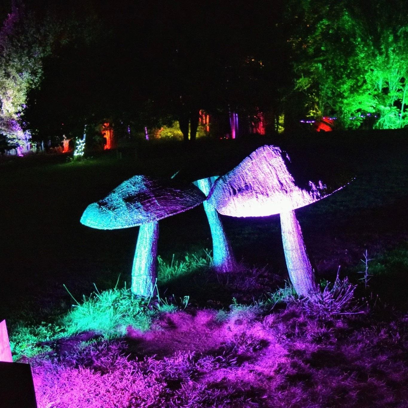 Night Lights at Griffis Sculpture Park — Ellicottville Now