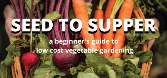 Free Seed to Supper Gardening Classes Return to Salamanca This April