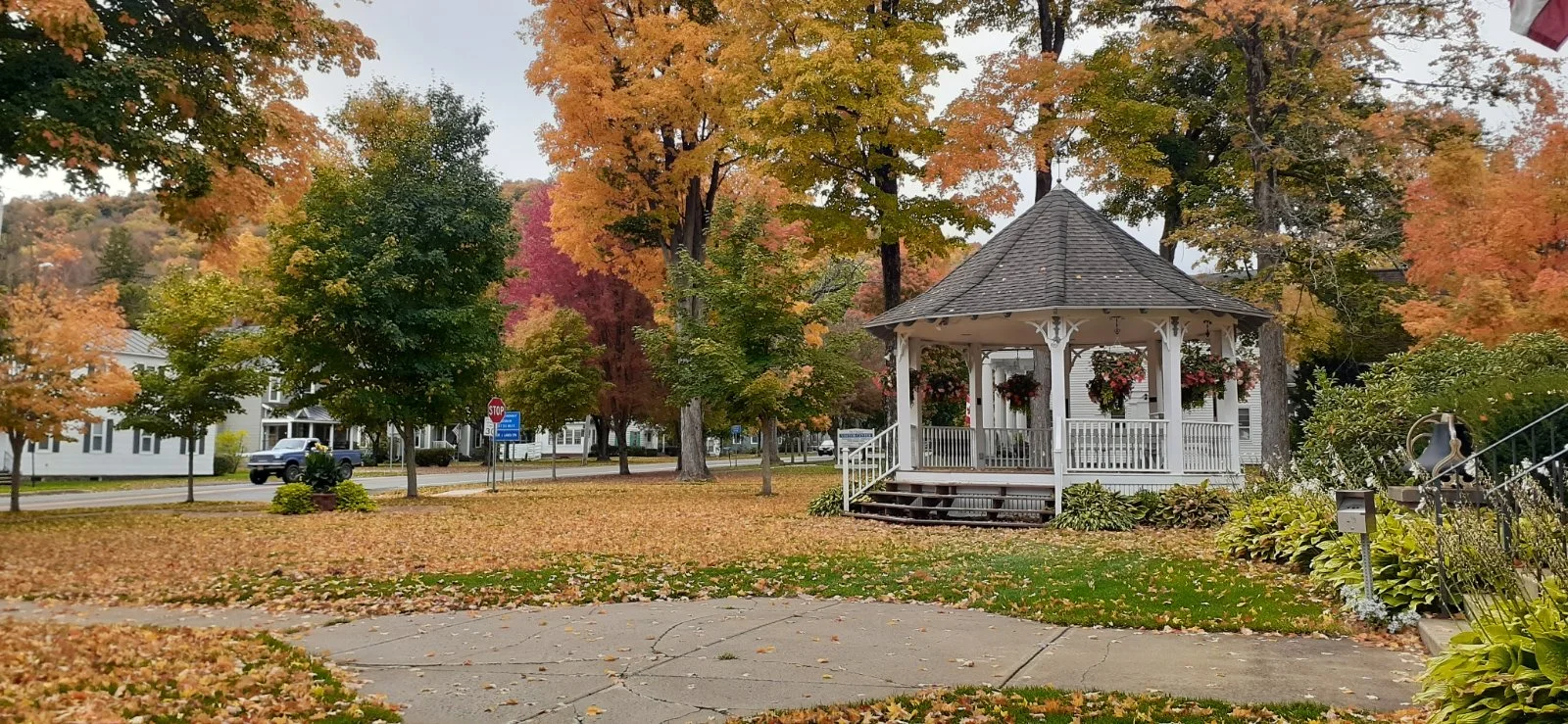 Ellicottville Town Board Adopts Dog Licensing Law, Reviews 2026 Budget