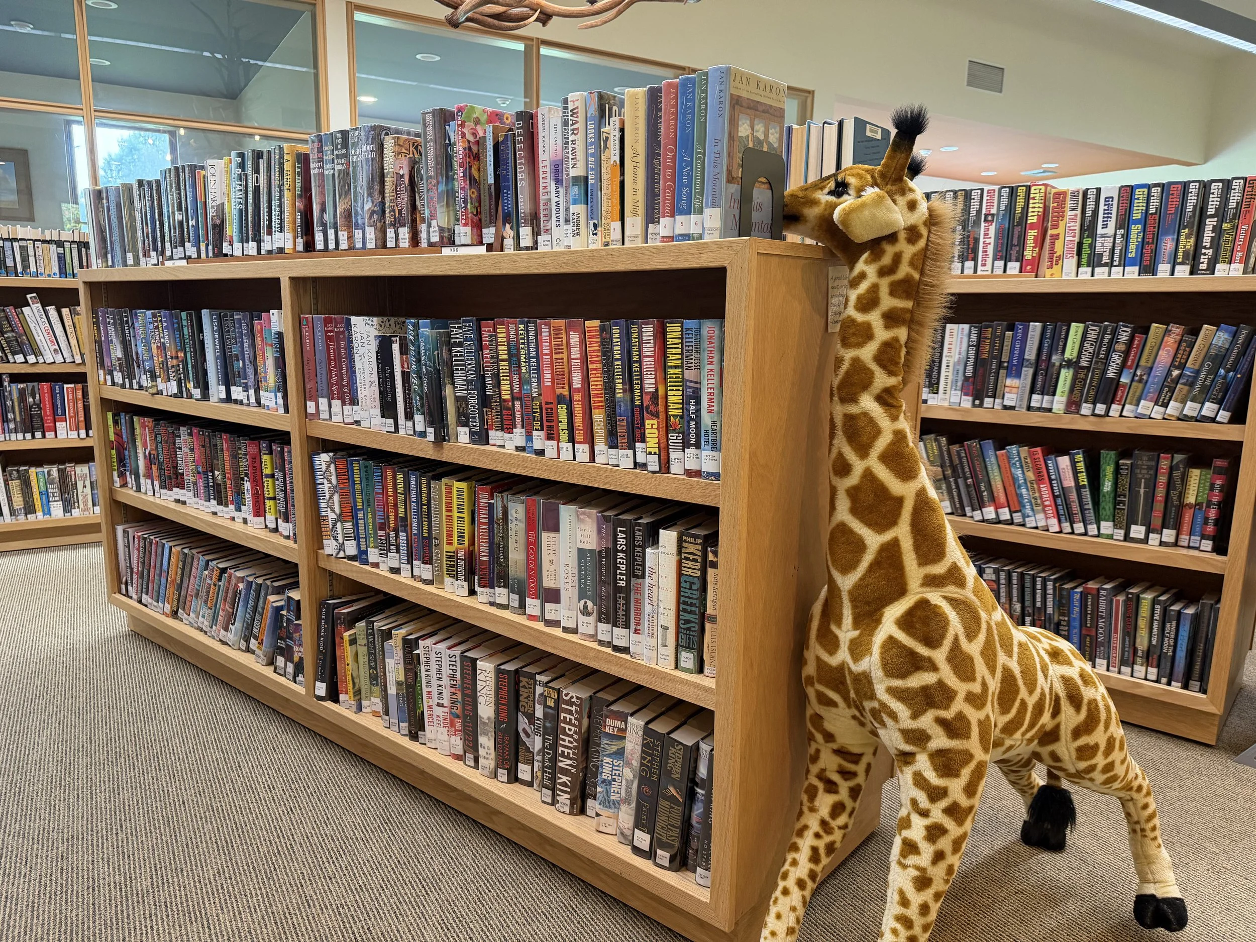 Ellicottville Memorial Library Welcomes Fall with Programs and Book Sale