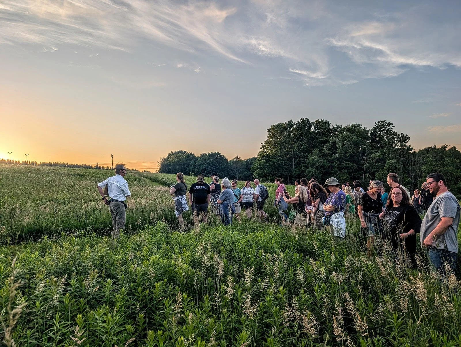 Griffis Sculpture Park to Host Supernatural Storytelling Walk on Summer Solstice