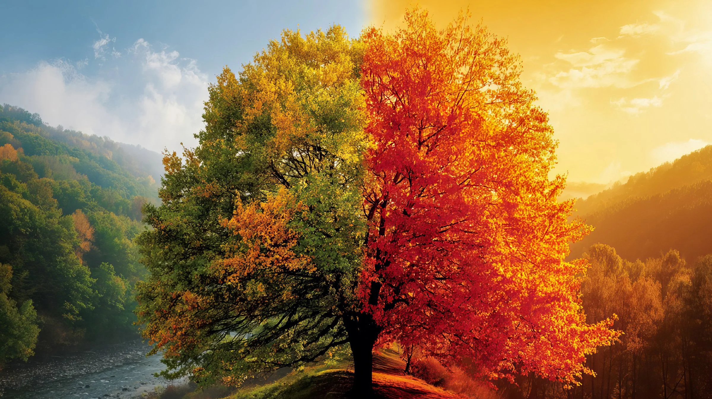 Autumn Equinox Astrology: Embracing Change, Healing and New Beginnings