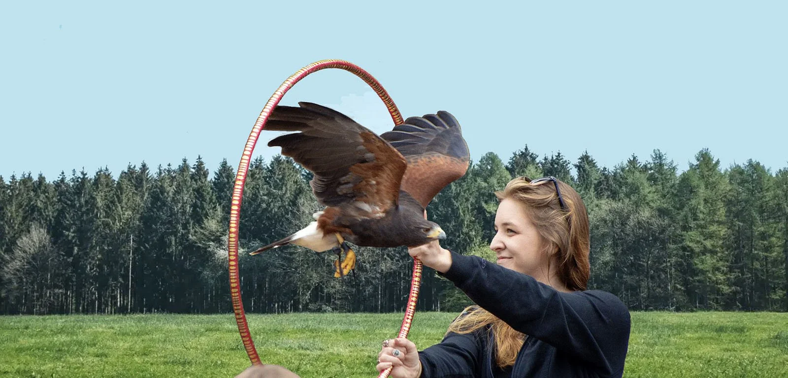 Pfeiffer Nature Center Hosts Hawk Creek Wildlife Program Featuring Live Birds of Prey