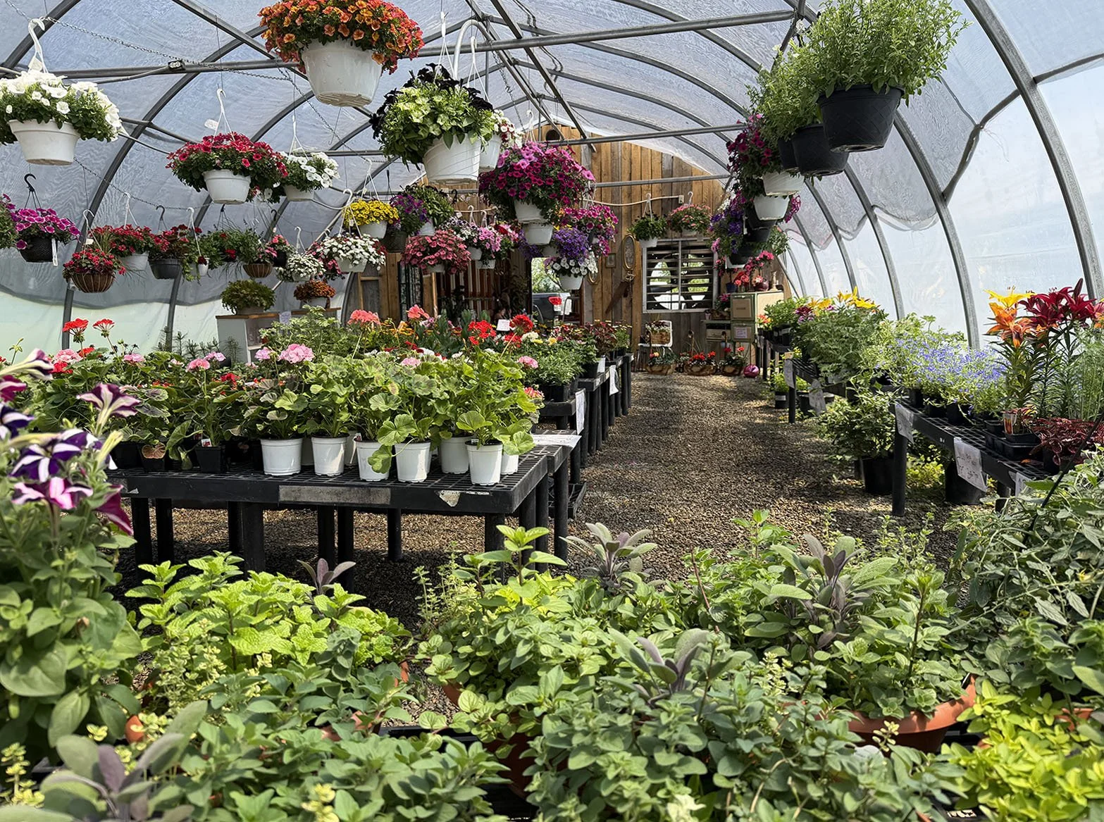 Decker Tree Greenhouse Opens in Great Valley with Flowers, Gifts, Produce, and More