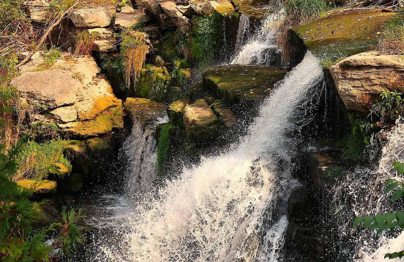 Nature Through the Lens: Barbara Arnstein Photography Exhibit Now on Display at Ellicottville Memorial Library