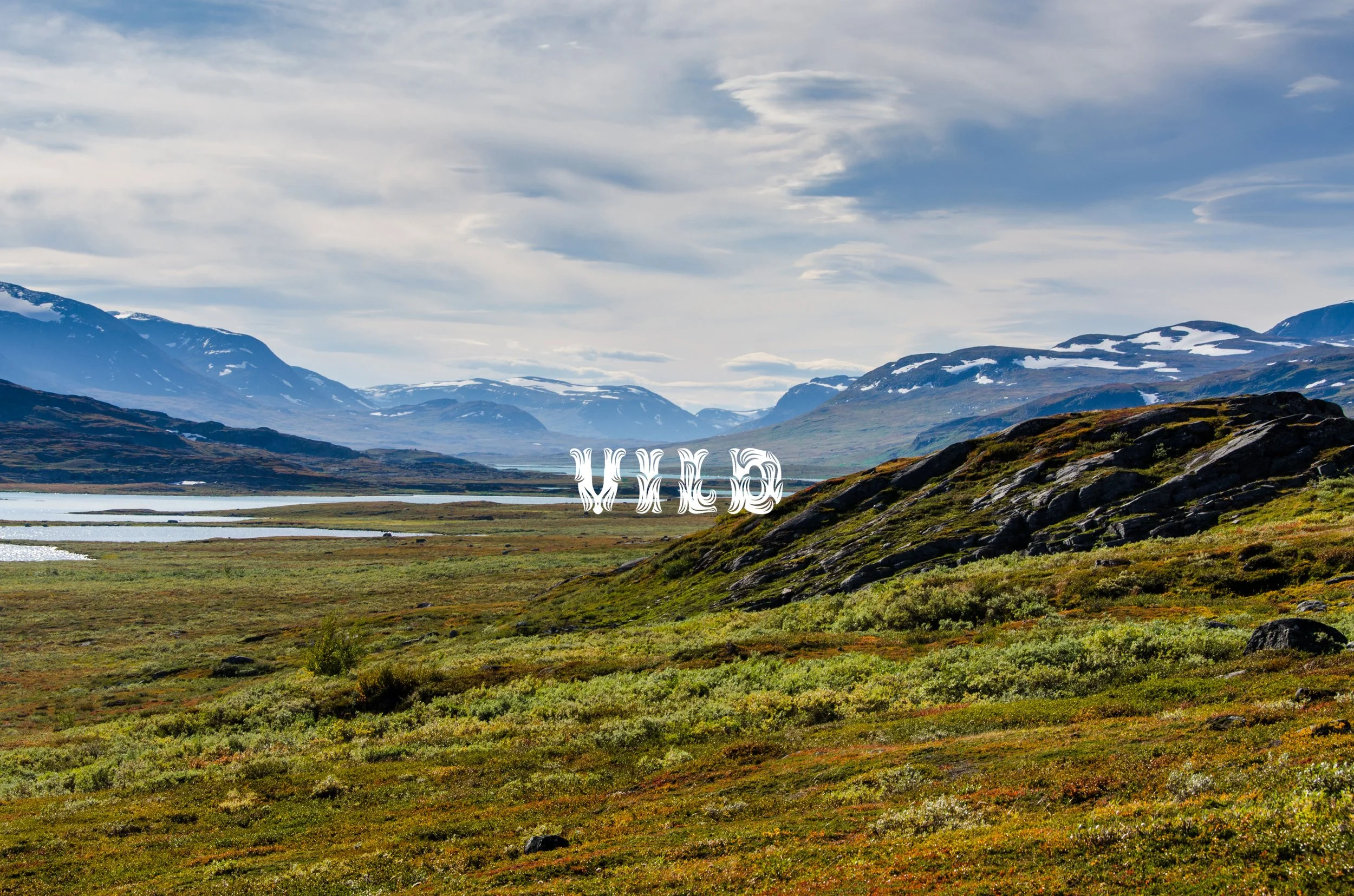VILD