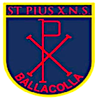 Naomh Pius X National School