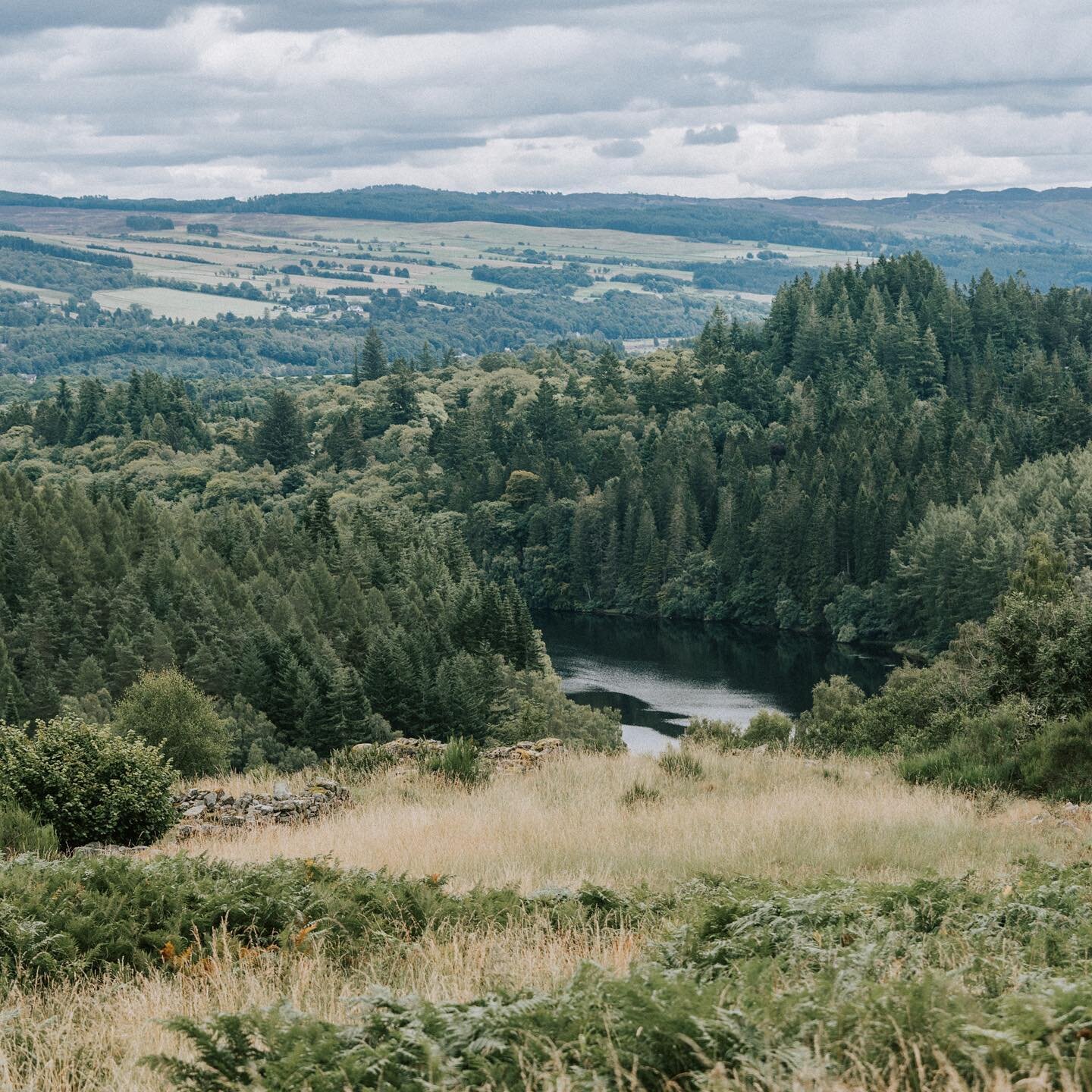 Postcards from Scotland 🌿 We have just got home from a few days escape to Scotland which was utterly beautiful. We were staying near Pitlochry, so a new area of the cairngorms for me. I actually took my big camera out for me (a real rarity for me!) 