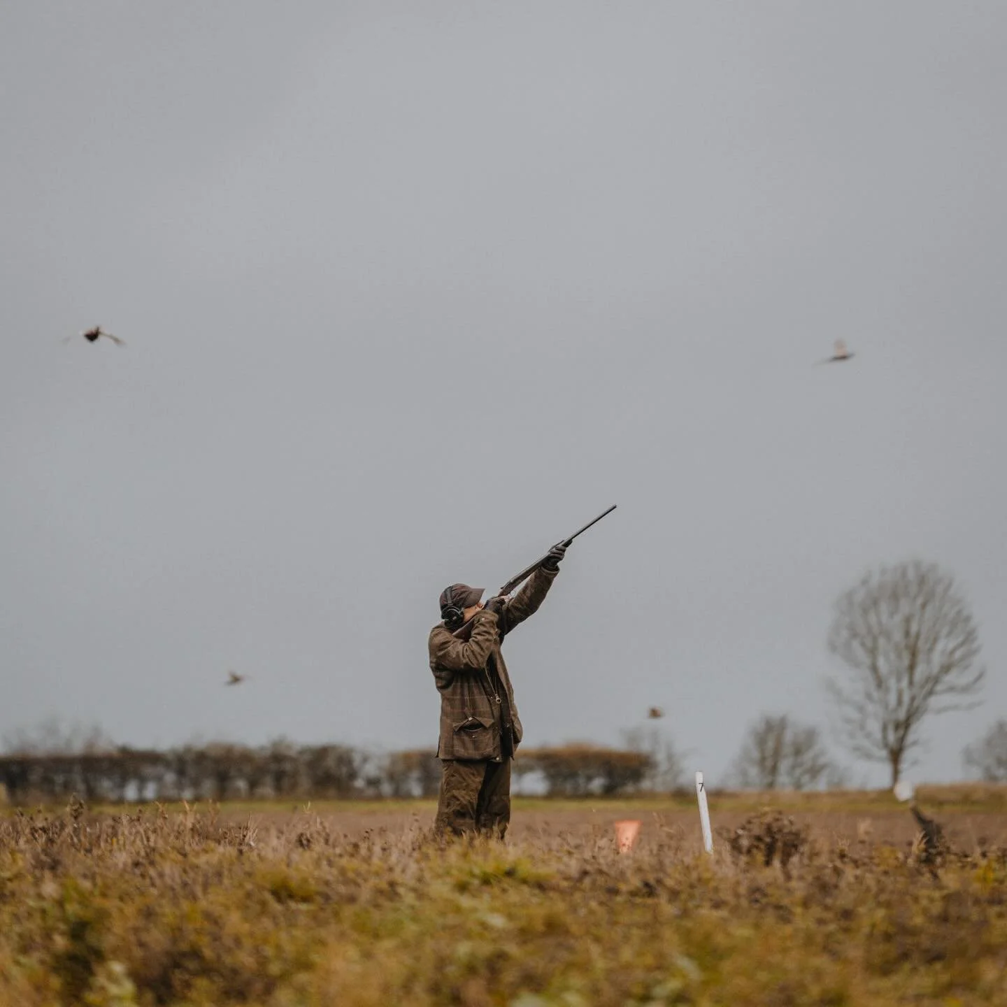Haven&rsquo;t had a shoot day where it hasn&rsquo;t rained yet&hellip; 🥲 

Absolutely adore these shots from the shoot today. Birds flew well, dogs were fab and lots of smiles all round. 🌟 

#shootingphotography