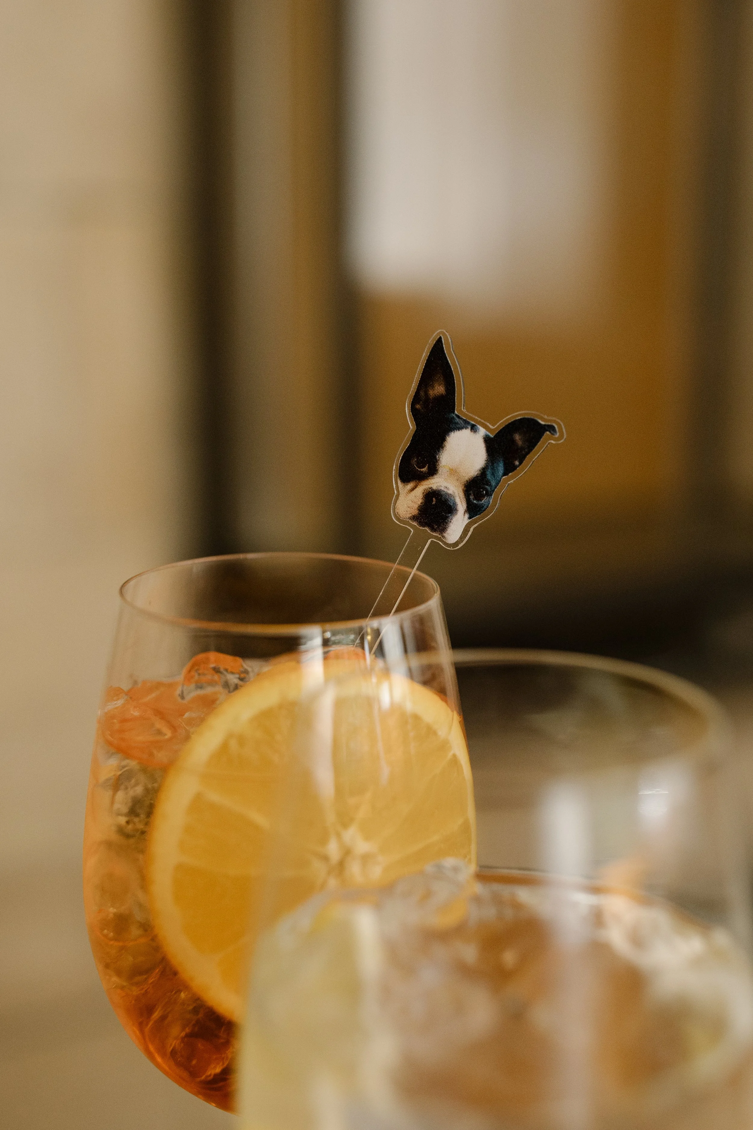 Wedding_Dog)DrinkStirs_ErinDaviesConsultancy.jpg