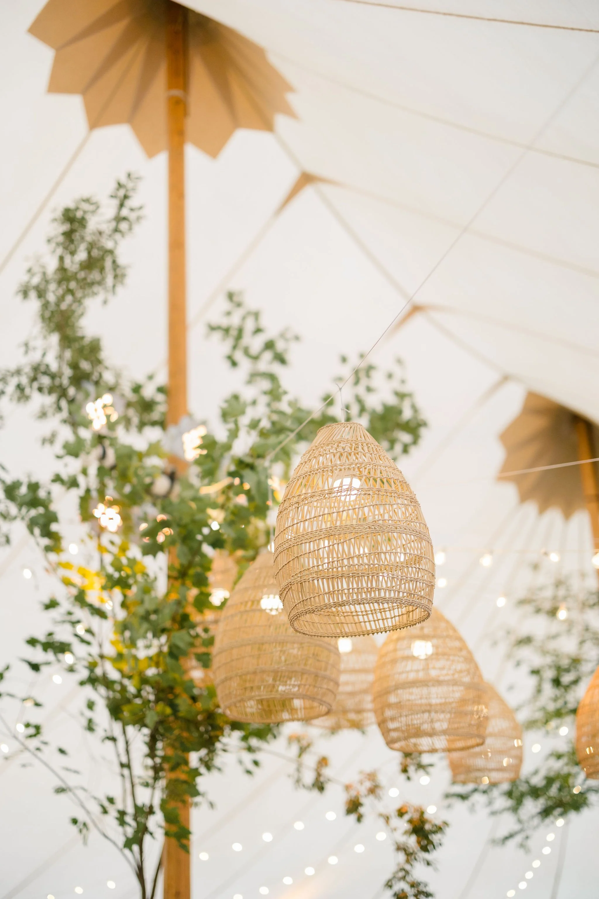 Wedding-Ali-Brian-133.jpg