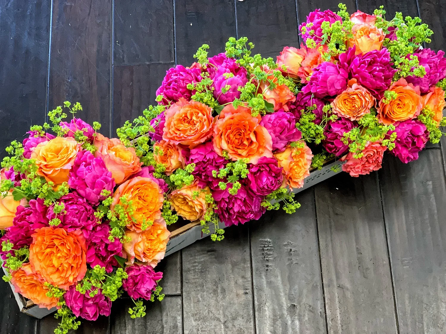 General 1 — Lily In The Valley