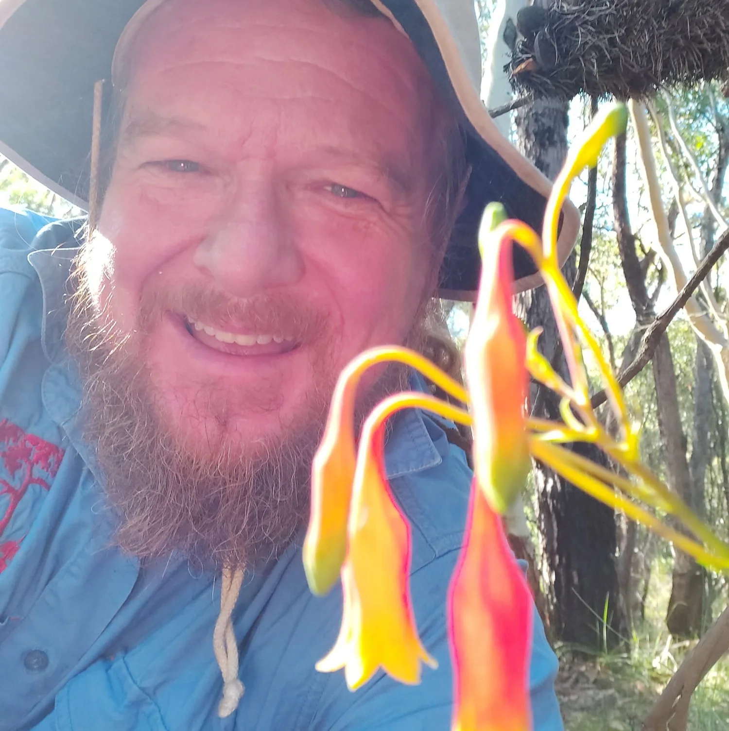 Nature Therapy Online (Ecotherapy Podcast)