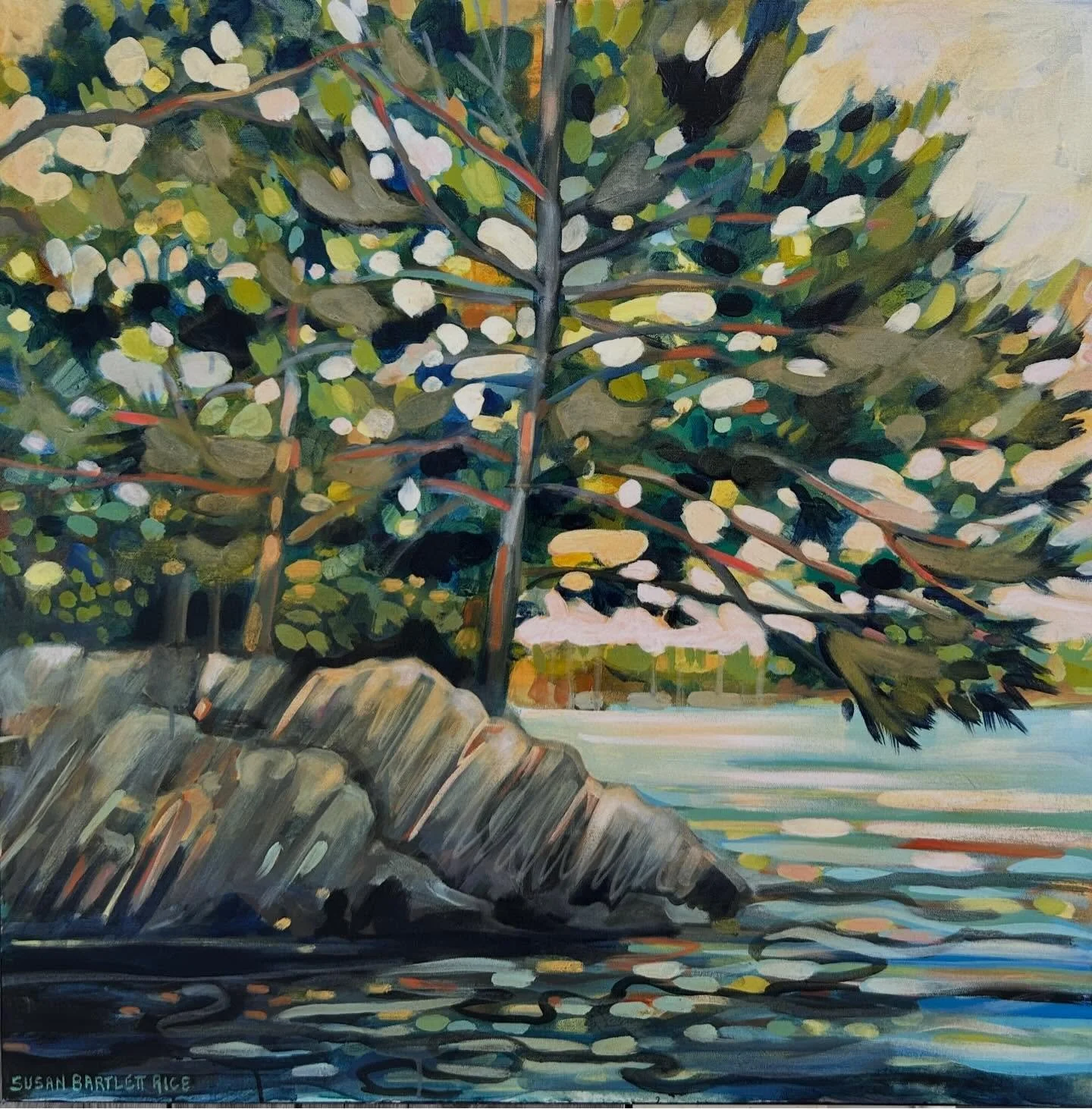 dreaming of warmer days ☀️this painting was inspired by a summer view from my kayak 

Susan Bartlett Rice
"Tree Glow"
30x30
Acrylic on canvas, 2026
sold