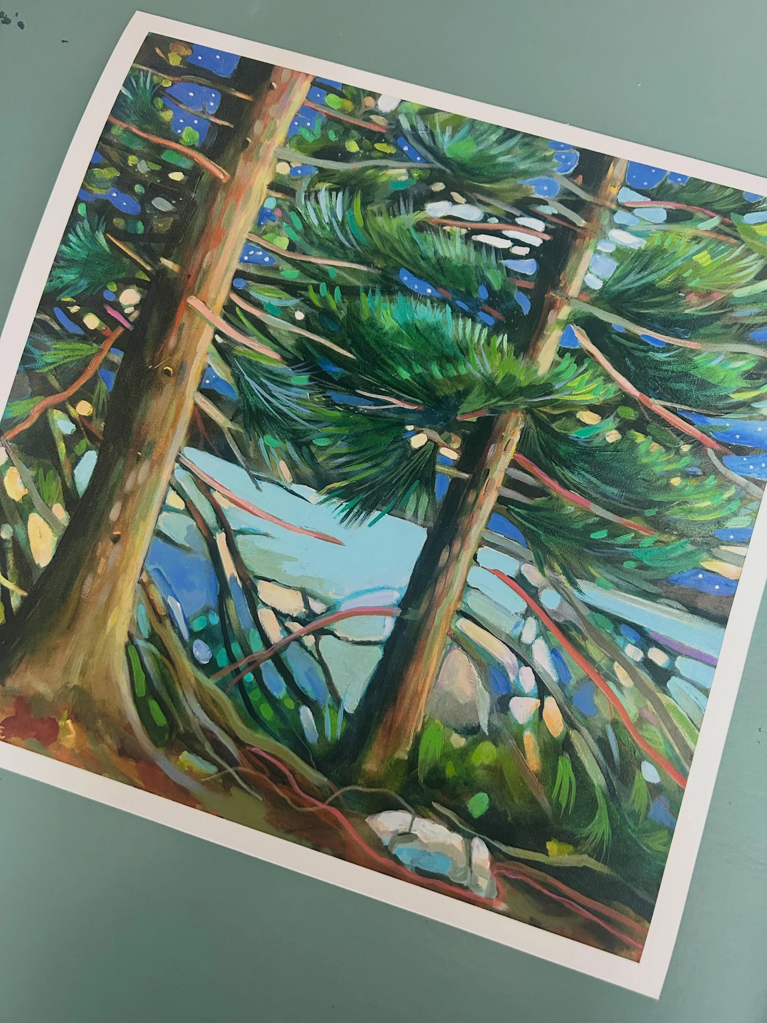 New Print Release! Maine's coast is often referred to as where the pines meet the sea 🌲🩵 Based on a familiar walking trail that leads down to the Damariscotta River, this painting is one of my favorites so far this year 

Susan Bartlett Rice
"