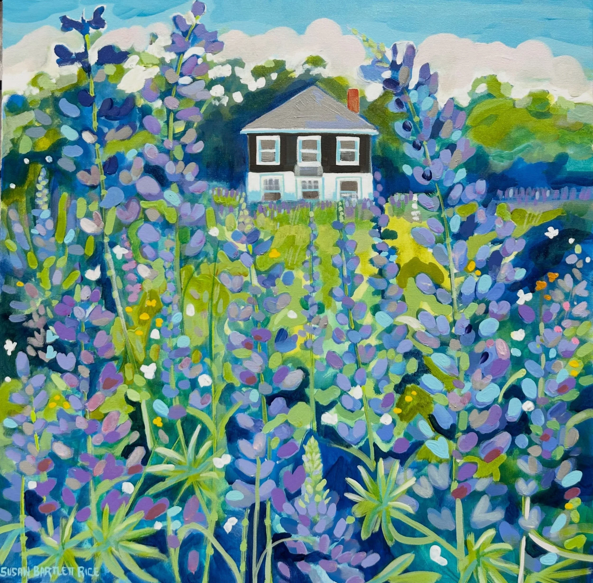 These roadside lupine never disappoint in Pemaquid during June. When July rolls around, they're gone for another year 🪻

*new work*
Susan Bartlett Rice
"Pemaquid Falls Lupine"
30x30
Acrylic on canvas 
2026
available online 

paintings &bul