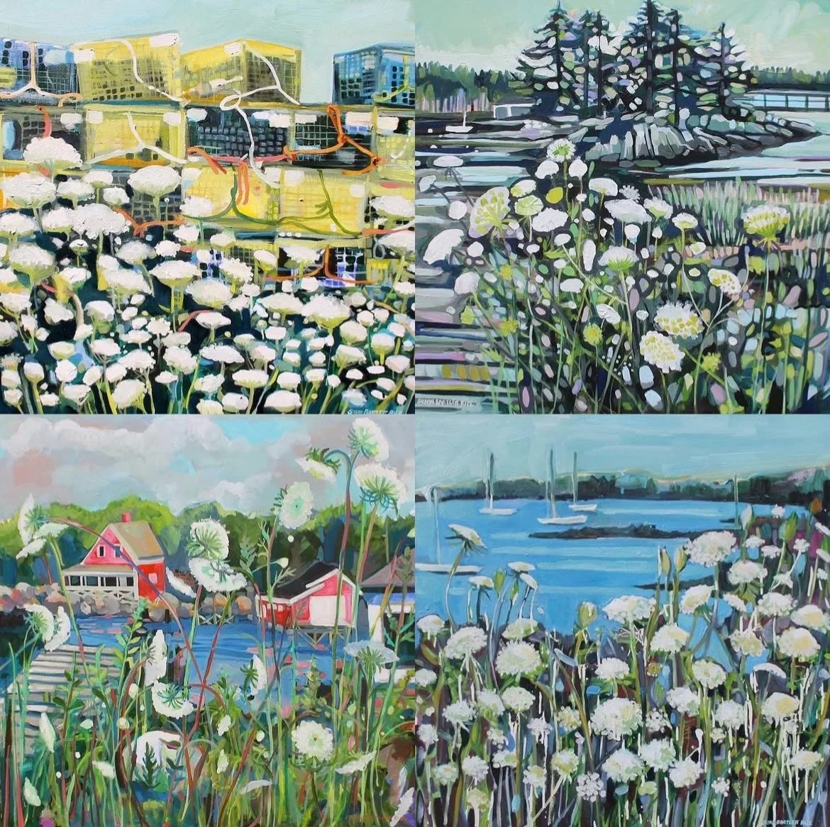 Queen Anne's everywhere all around ~ end of August days have officially arrived 🤍
