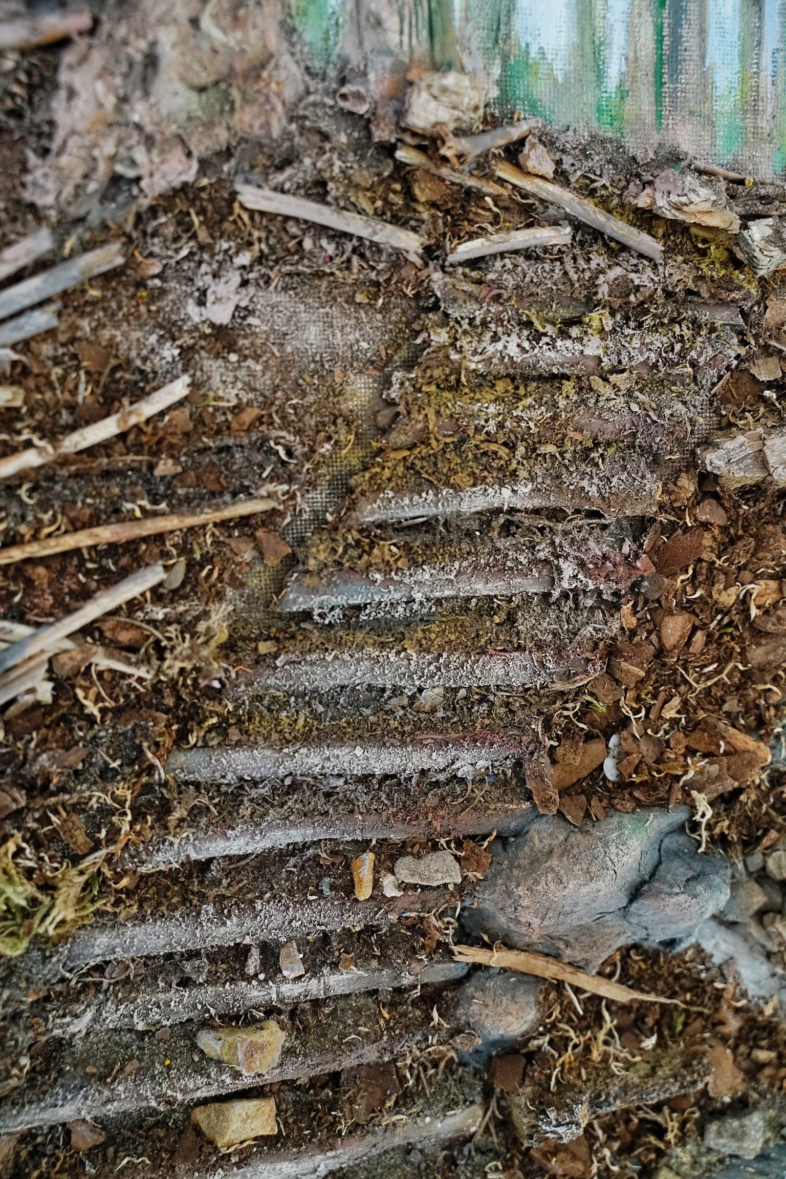 image_6483441 (7).JPG