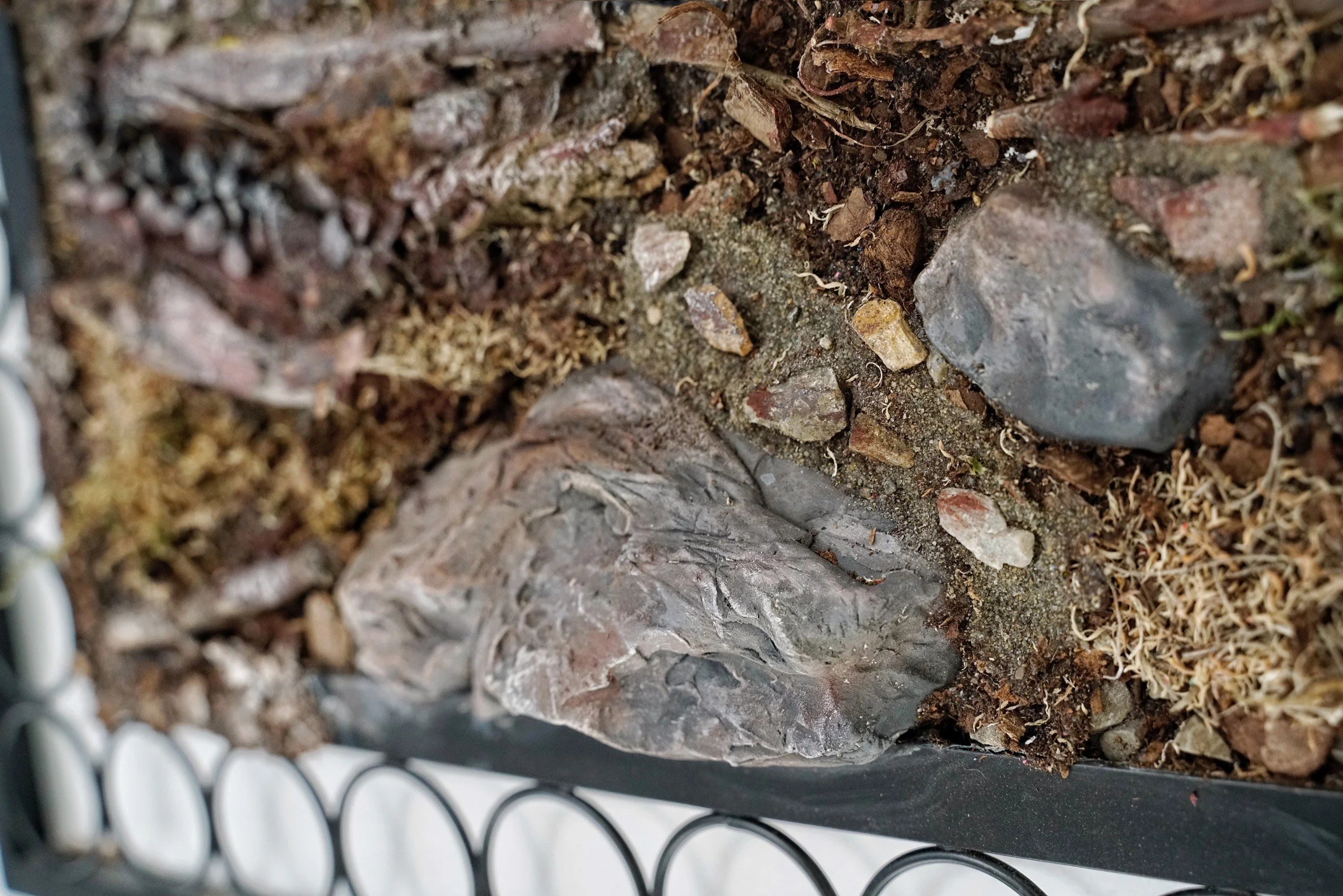 image_6483441 (1).JPG