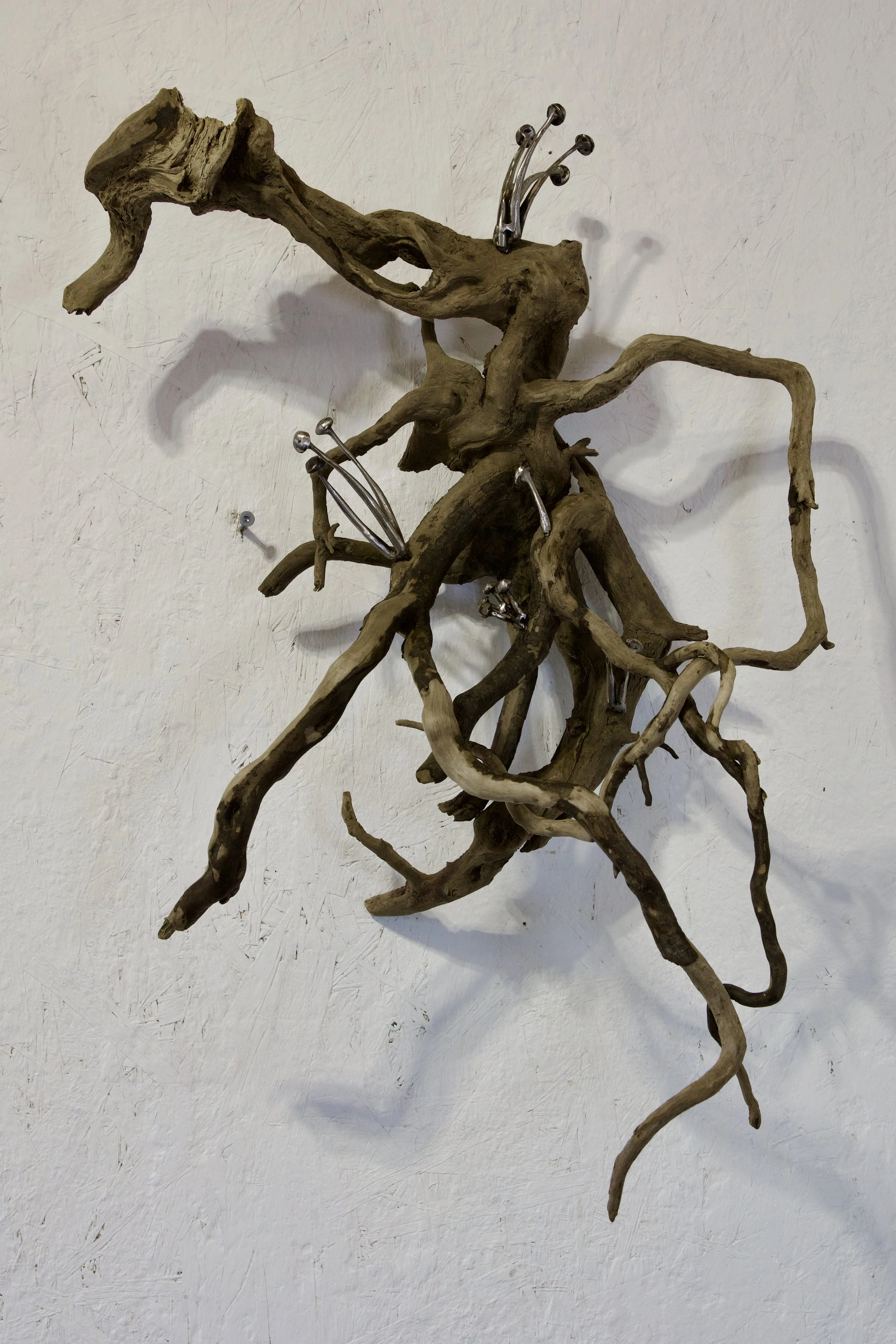 ROOTED DANCE