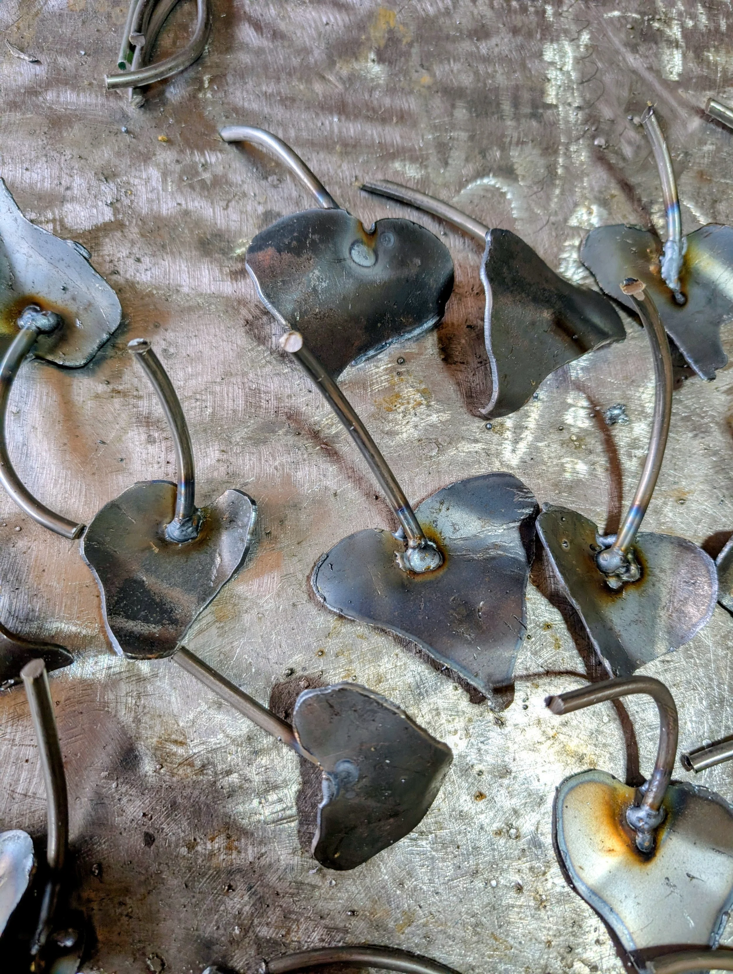 Preparation of leaves