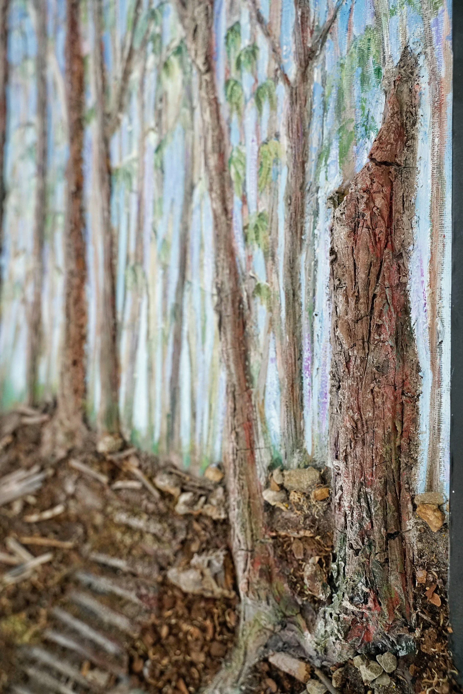 image_6483441 (6).JPG