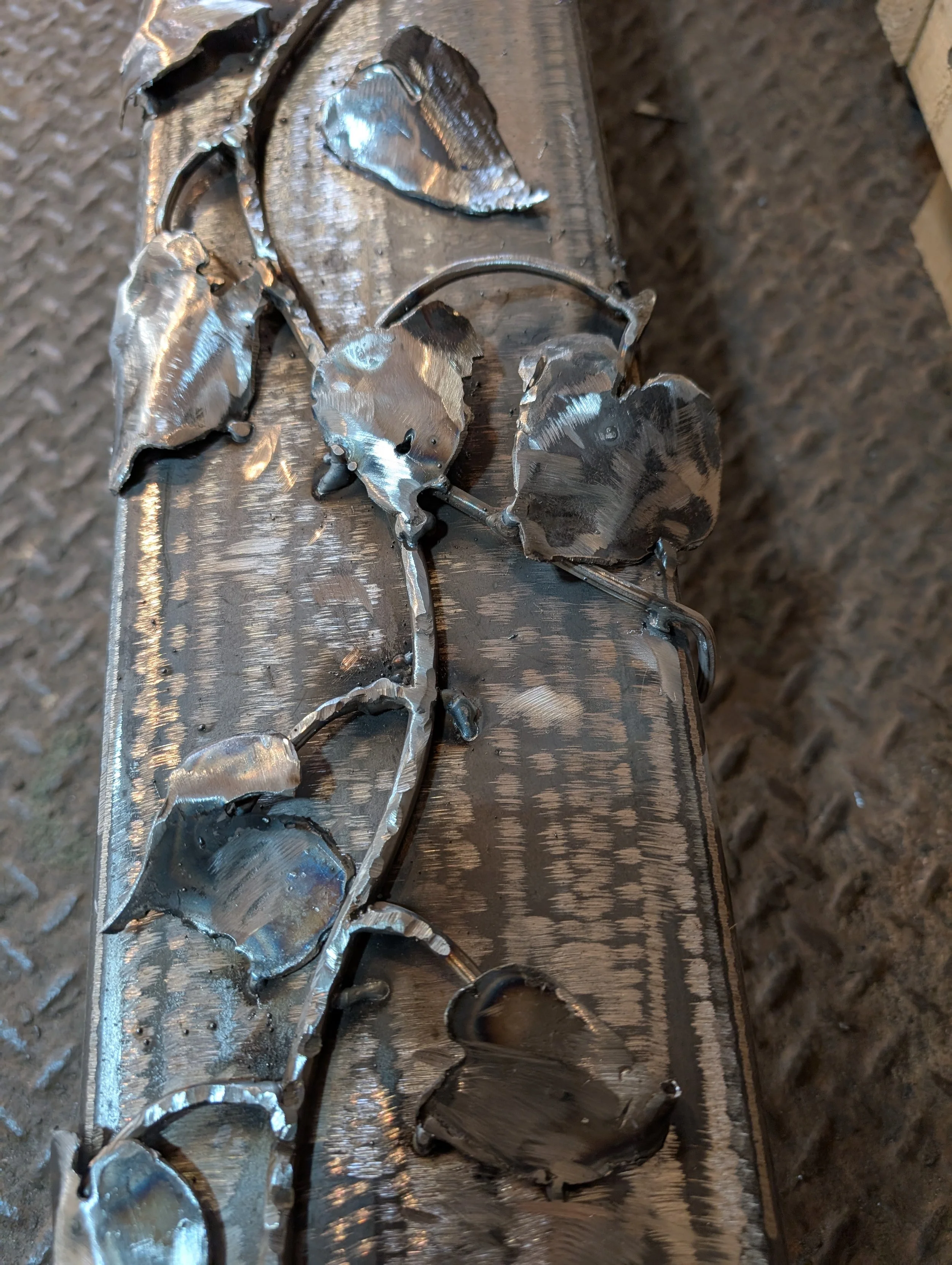 Close up of vines in progress