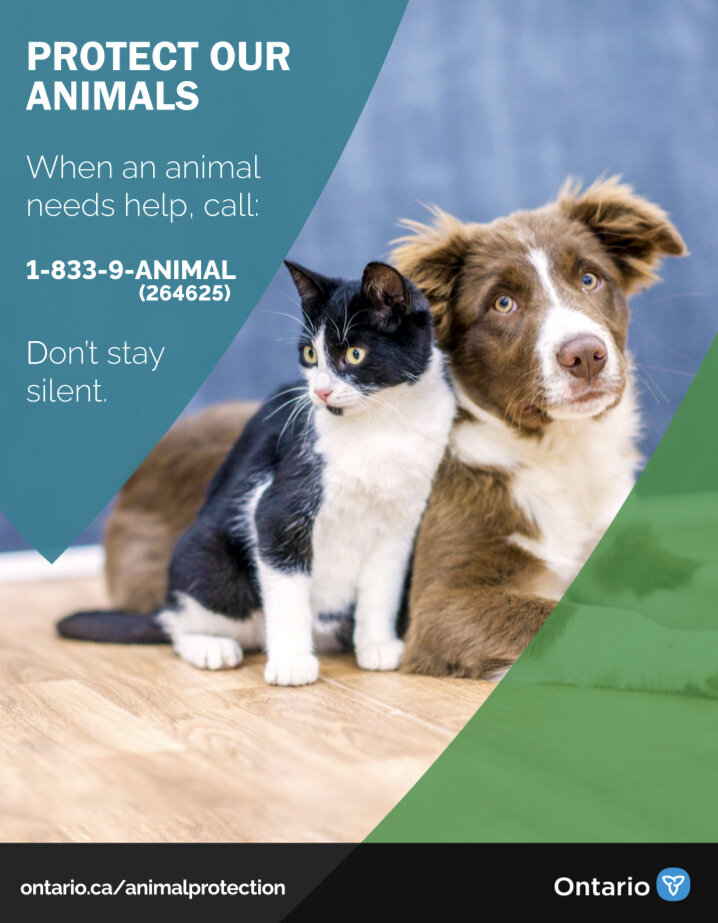 Report Cruelty — The Windsor/Essex County Humane Society