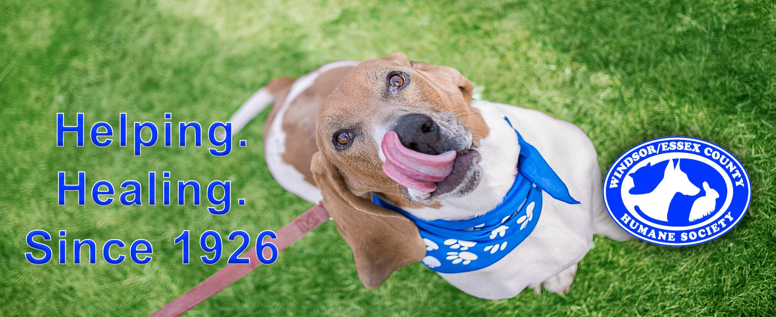 The Windsor/Essex County Humane Society