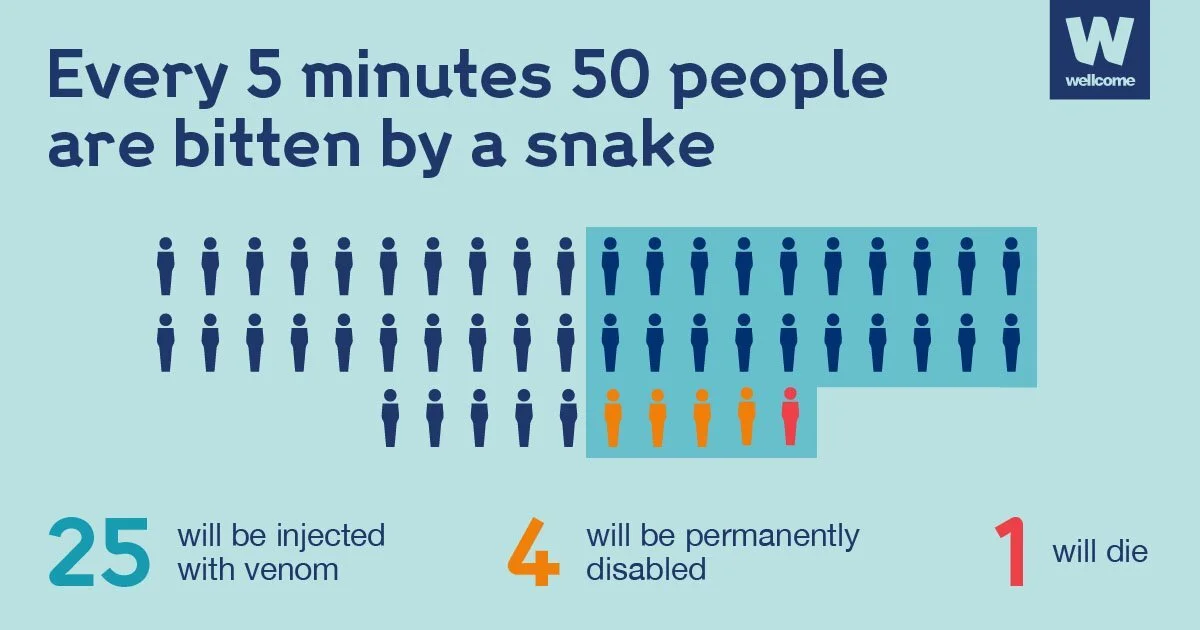 Global snakebite deaths. Every 5 minutes 50 people are bitten by a snake. In June 2017, the WHO placed Snakebite on its list of Neglected Tropical Diseases and has estimated that snakebite causes between 81,000 to 138,000 deaths a year. Furthermore, approximately 400,000 people suffer life-altering injuries from snakebite i.e. loss of a limb.