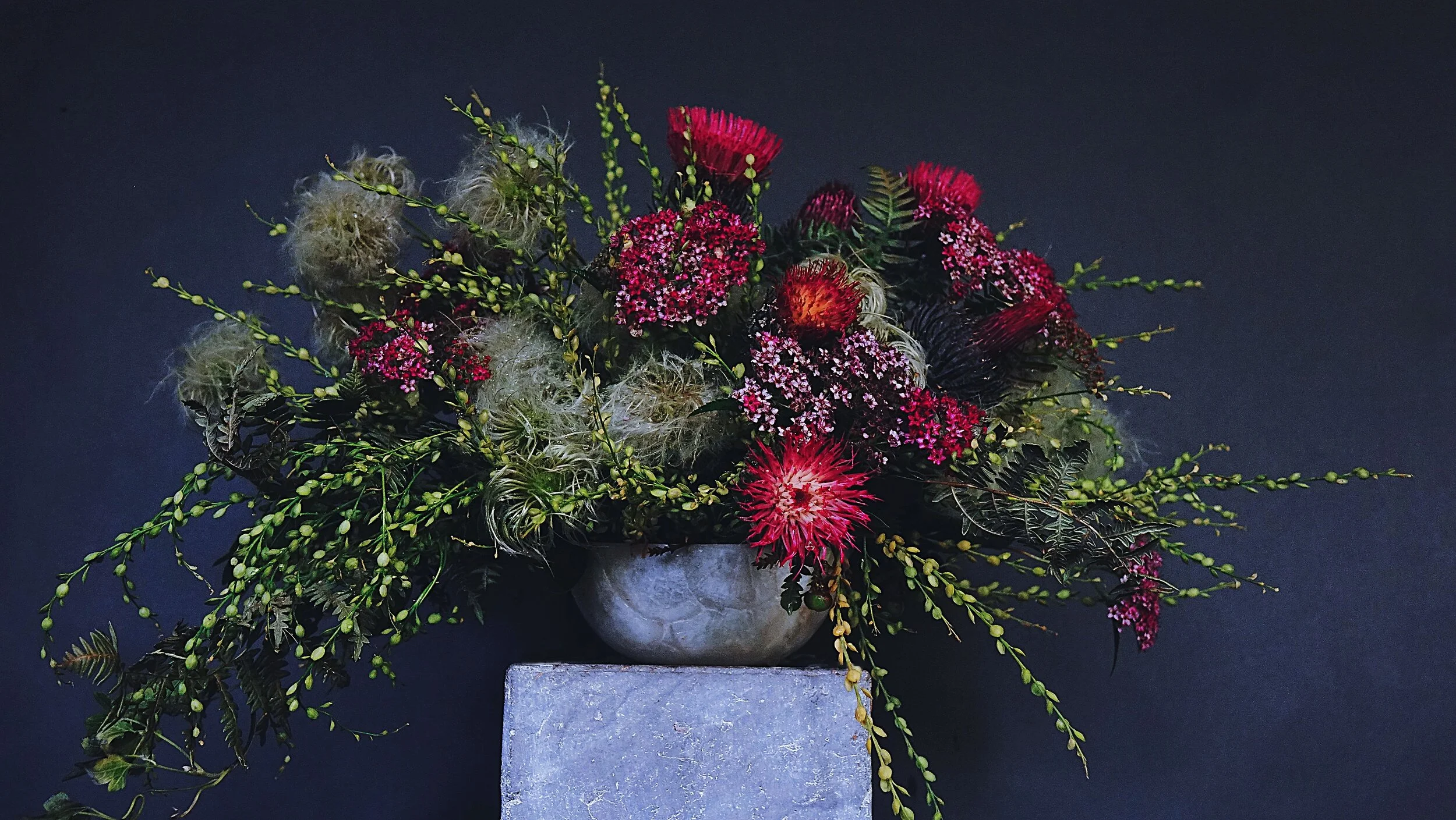 Seasonal Foraged Desert