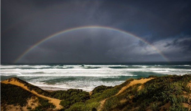 Covenant Series: Noah