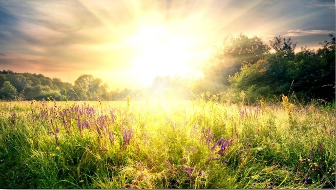 Trusting without Seeing&nbsp;