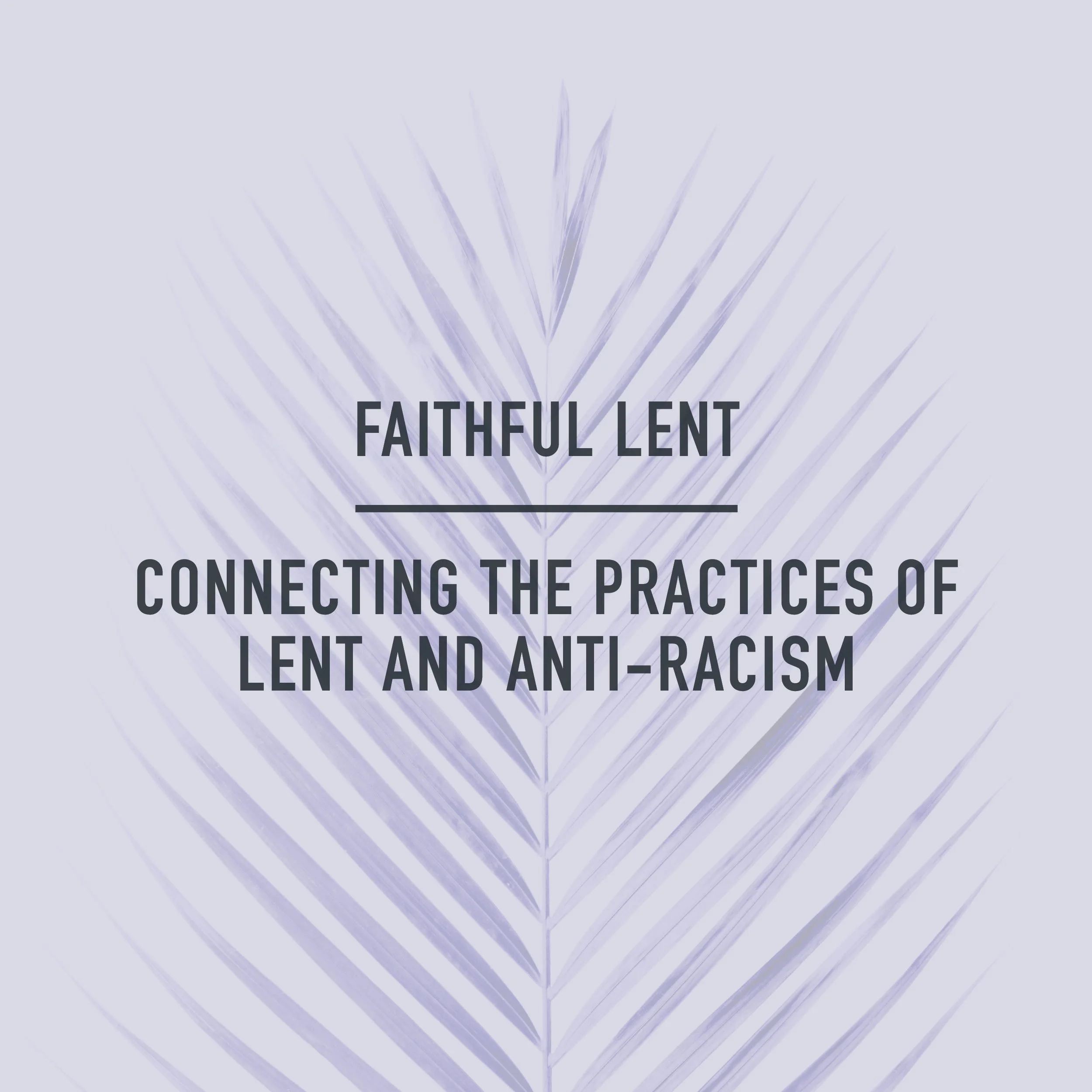 Faithful Lent: Connecting the Practices of Lent and Anti-racism (1-100 Church Members)