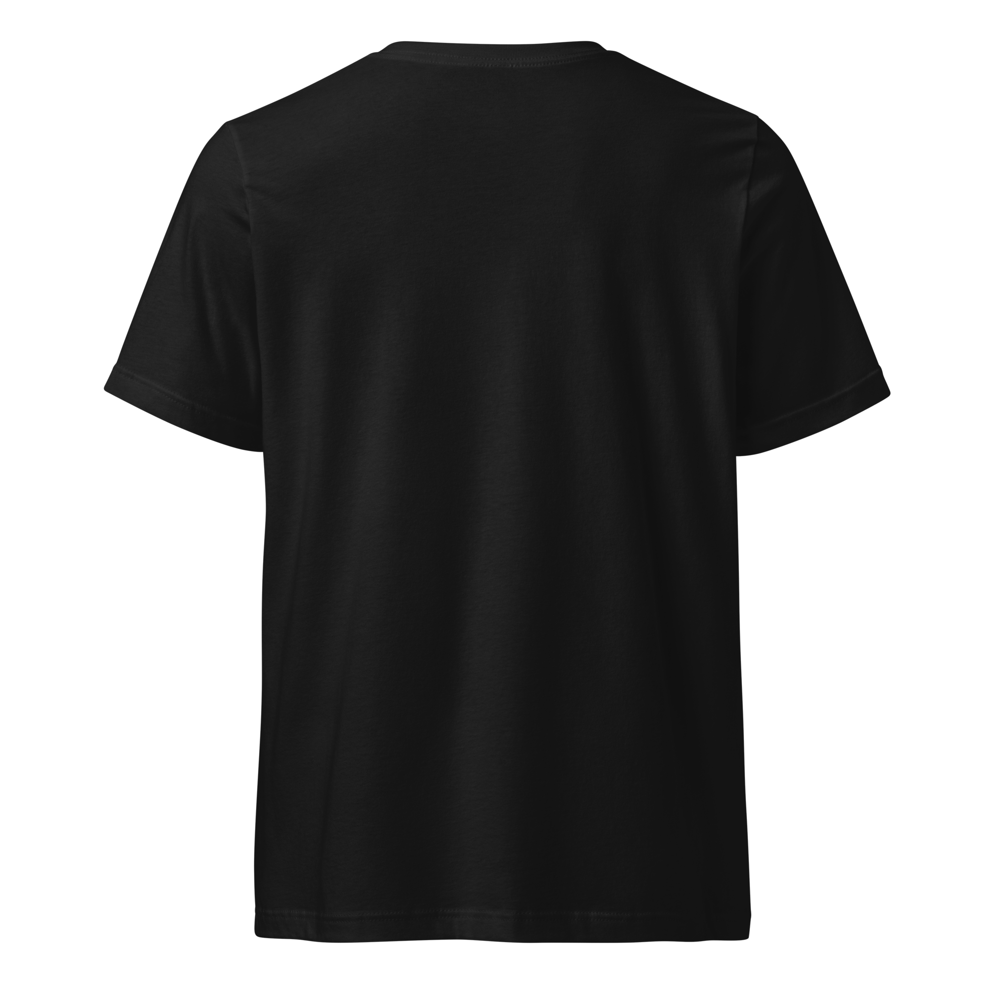 unisex-v-neck-tee-black-back-69ab4f4d5e409.png